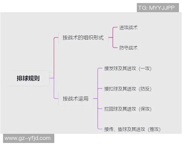 成都排球队中路突破战术解析与实战应用探讨 成都排球队中路突破战术解析与实战应用探讨