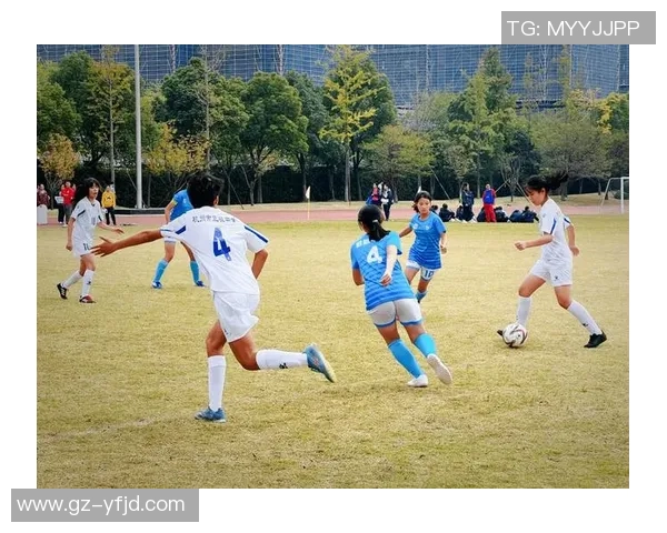 杭州乒乓球队在城市联赛中的个人能力表现分析与点评