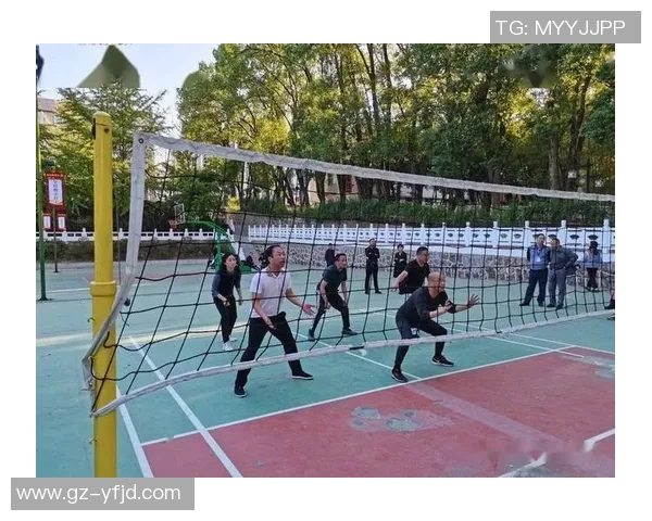 深圳排球队逆袭之路洲际杯特别报道展现拼搏精神与团队力量