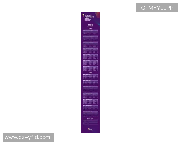 深圳羽毛球队创历史新高状态排名引发广泛关注与期待