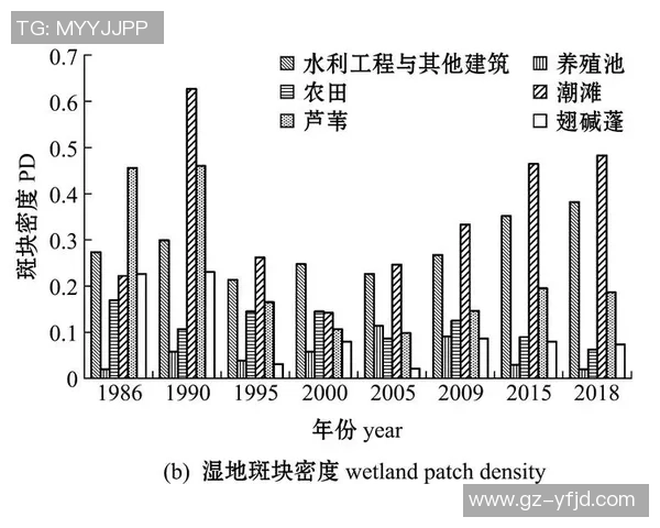 足球明星财富变迁与资产排名的历史演进分析