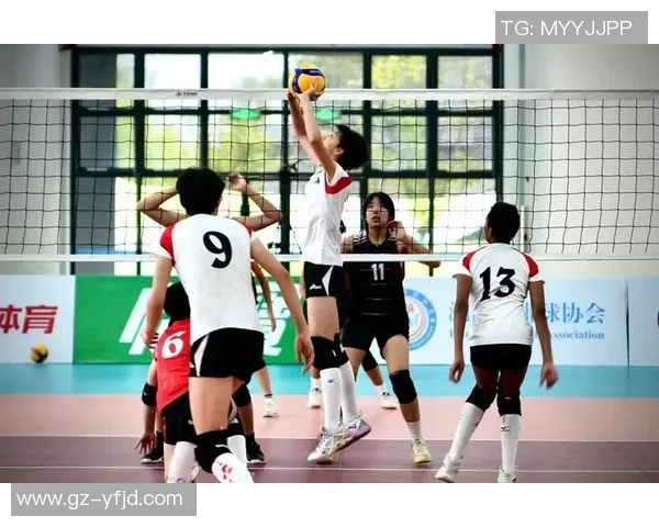 排球专题:聚焦上海排球队的个人能力 排球专题:聚焦上海排球队的个人能力