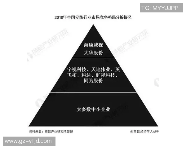 独家分析：上海乒乓球队的战术对比