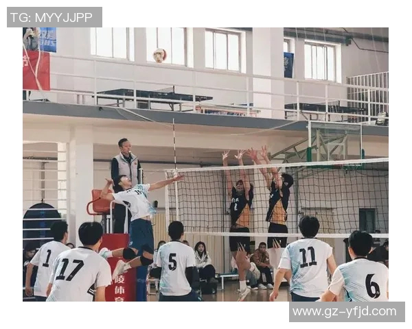 排球专题：聚焦武汉排球队的技术